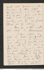 Nachlass Franz Steindachner, Brief von Alexander Goodman More an Franz Steindachner (05.11.1878), Inv.Nr. 349.04, Seite 6